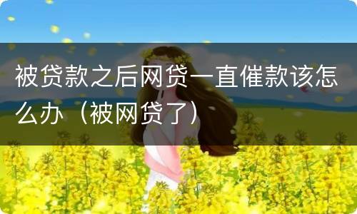 被贷款之后网贷一直催款该怎么办（被网贷了）