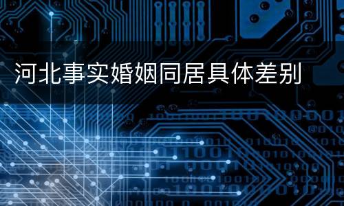 河北事实婚姻同居具体差别