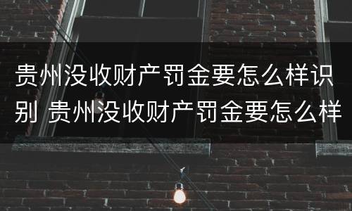 贵州没收财产罚金要怎么样识别 贵州没收财产罚金要怎么样识别真假