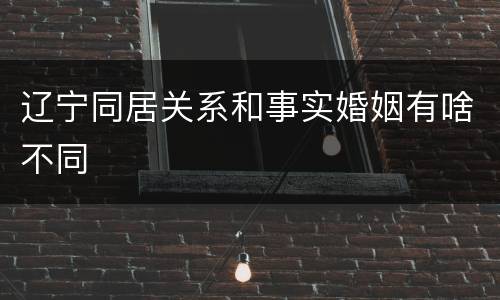 辽宁同居关系和事实婚姻有啥不同