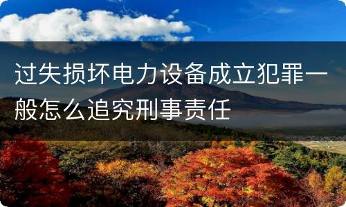 过失损坏电力设备成立犯罪一般怎么追究刑事责任