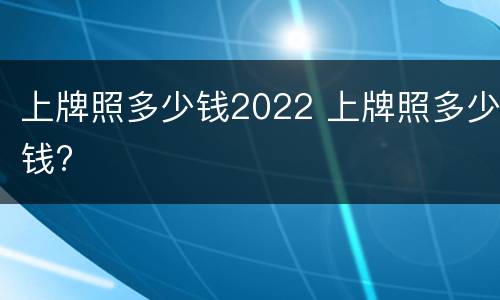 上牌照多少钱2022 上牌照多少钱?