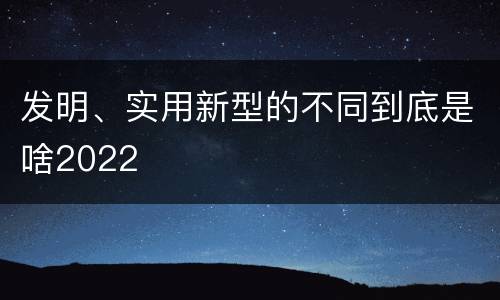 发明、实用新型的不同到底是啥2022