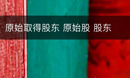 原始取得股东 原始股 股东