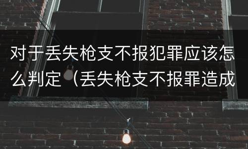 对于丢失枪支不报犯罪应该怎么判定（丢失枪支不报罪造成后果）