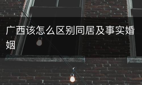 广西该怎么区别同居及事实婚姻