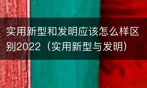 实用新型和发明应该怎么样区别2022（实用新型与发明）