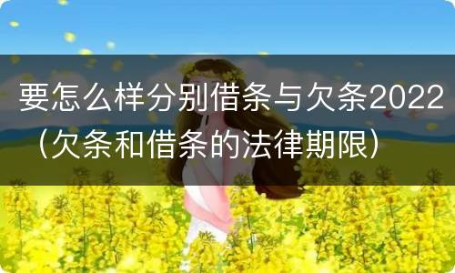 要怎么样分别借条与欠条2022（欠条和借条的法律期限）