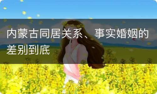 内蒙古同居关系、事实婚姻的差别到底
