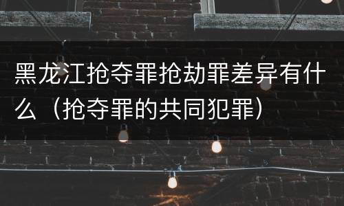 黑龙江抢夺罪抢劫罪差异有什么（抢夺罪的共同犯罪）