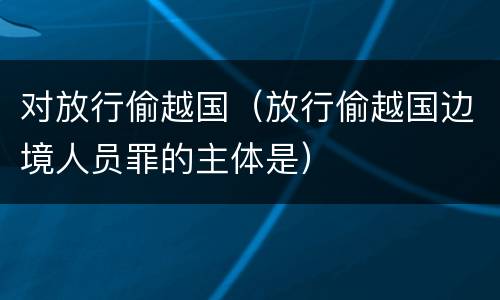 对放行偷越国（放行偷越国边境人员罪的主体是）