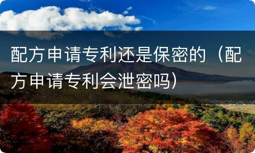 配方申请专利还是保密的（配方申请专利会泄密吗）