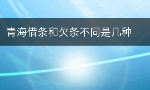青海借条和欠条不同是几种