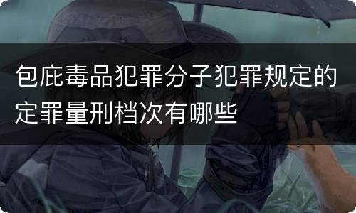 包庇毒品犯罪分子犯罪规定的定罪量刑档次有哪些