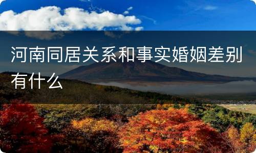 河南同居关系和事实婚姻差别有什么