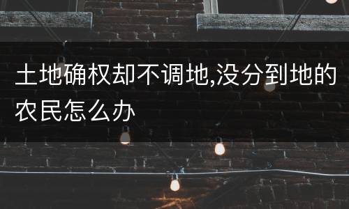 土地确权却不调地,没分到地的农民怎么办