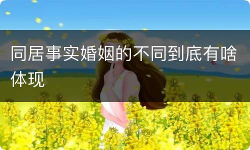 同居事实婚姻的不同到底有啥体现
