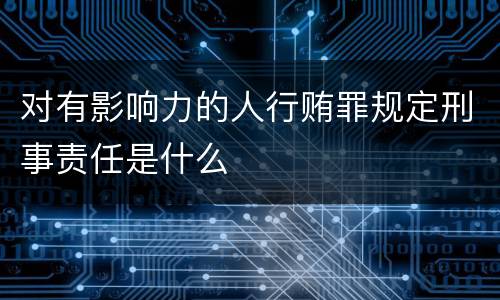 对有影响力的人行贿罪规定刑事责任是什么