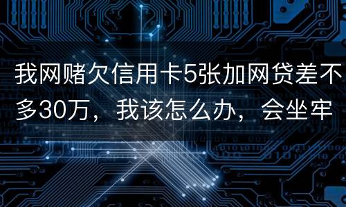 我网赌欠信用卡5张加网贷差不多30万，我该怎么办，会坐牢吗？没钱还，还不上了