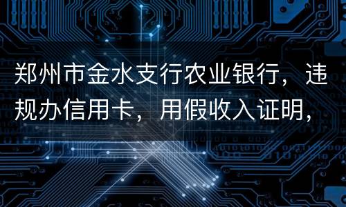 郑州市金水支行农业银行，违规办信用卡，用假收入证明，假行车证，没面签，办信用卡，