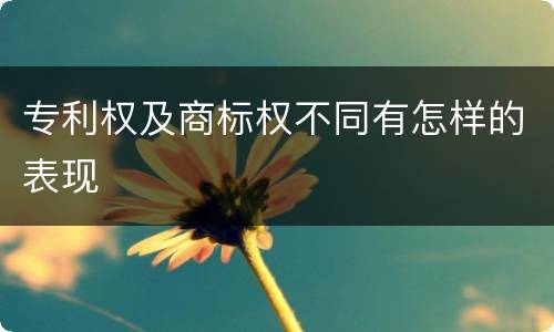 专利权及商标权不同有怎样的表现