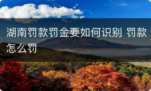 湖南罚款罚金要如何识别 罚款怎么罚