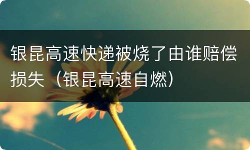 银昆高速快递被烧了由谁赔偿损失（银昆高速自燃）
