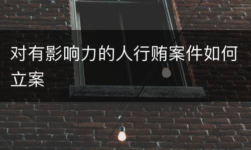 对有影响力的人行贿案件如何立案