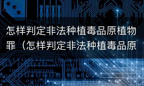 怎样判定非法种植毒品原植物罪（怎样判定非法种植毒品原植物罪）