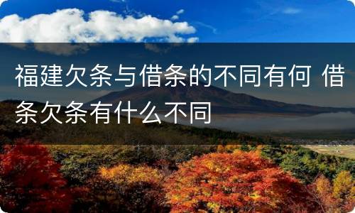 福建欠条与借条的不同有何 借条欠条有什么不同