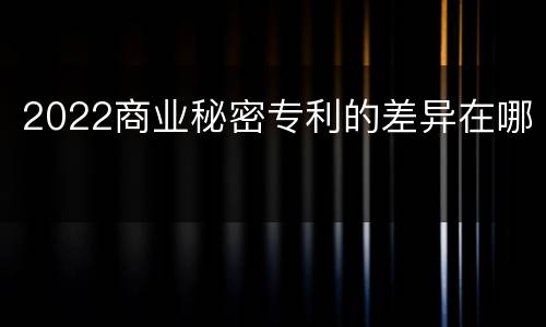 2022商业秘密专利的差异在哪