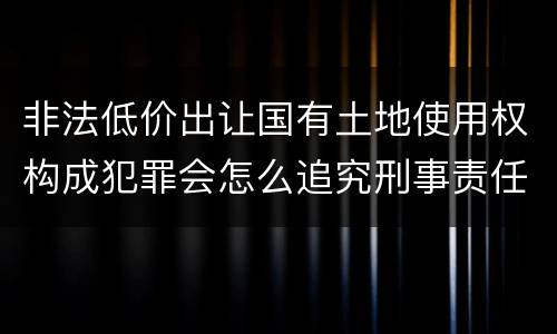 非法低价出让国有土地使用权构成犯罪会怎么追究刑事责任
