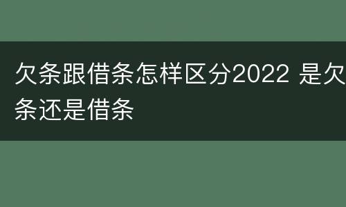 欠条跟借条怎样区分2022 是欠条还是借条