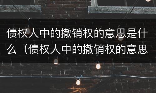 债权人中的撤销权的意思是什么（债权人中的撤销权的意思是什么解释）