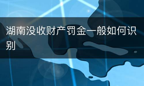 湖南没收财产罚金一般如何识别