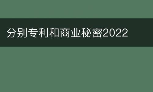 分别专利和商业秘密2022