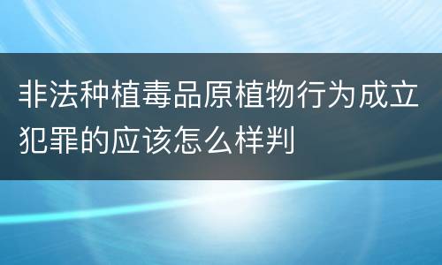 非法种植毒品原植物行为成立犯罪的应该怎么样判