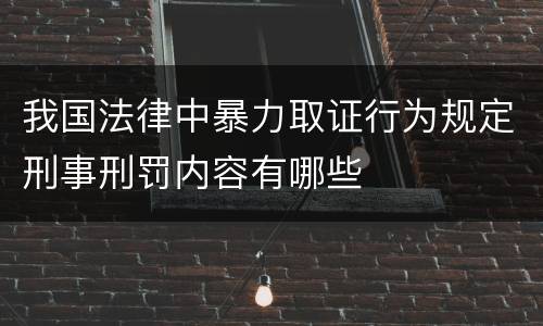 我国法律中暴力取证行为规定刑事刑罚内容有哪些