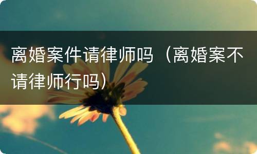 离婚案件请律师吗（离婚案不请律师行吗）