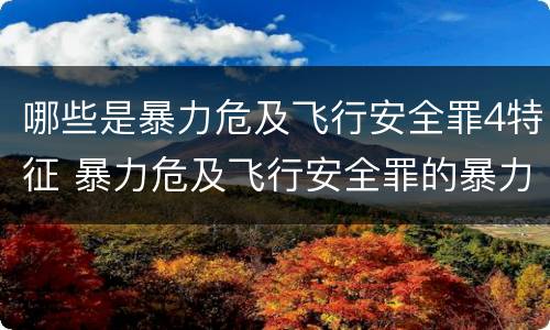 哪些是暴力危及飞行安全罪4特征 暴力危及飞行安全罪的暴力行为的对象是