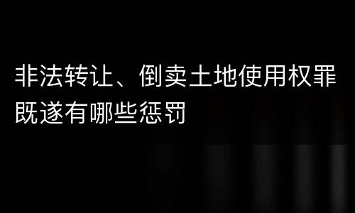 非法转让、倒卖土地使用权罪既遂有哪些惩罚