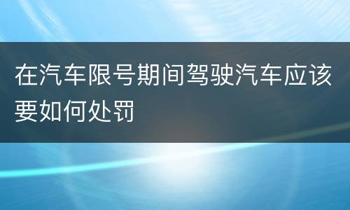 在汽车限号期间驾驶汽车应该要如何处罚
