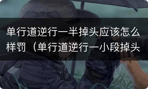 单行道逆行一半掉头应该怎么样罚（单行道逆行一小段掉头会扣分吗）
