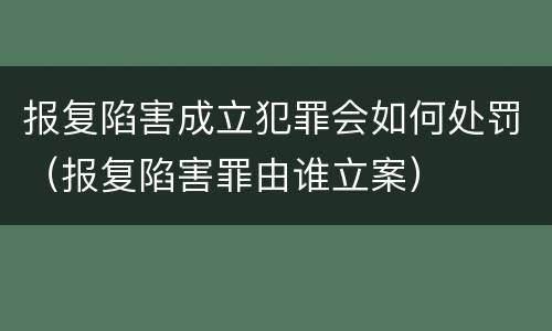 报复陷害成立犯罪会如何处罚（报复陷害罪由谁立案）