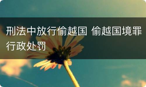 刑法中放行偷越国 偷越国境罪行政处罚
