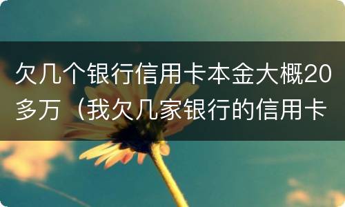 欠几个银行信用卡本金大概20多万(我欠几家银行的信用卡总共二三十万)