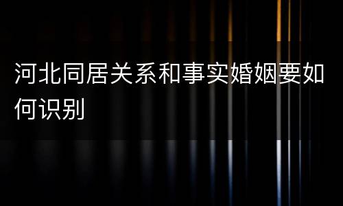 河北同居关系和事实婚姻要如何识别