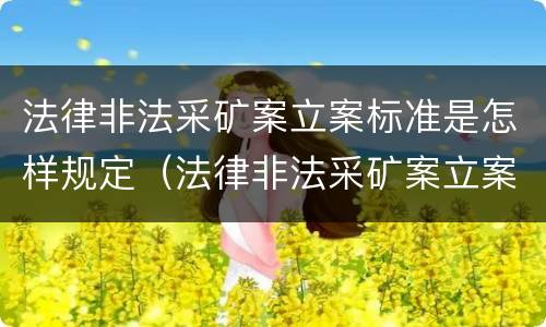 法律非法采矿案立案标准是怎样规定（法律非法采矿案立案标准是怎样规定的）