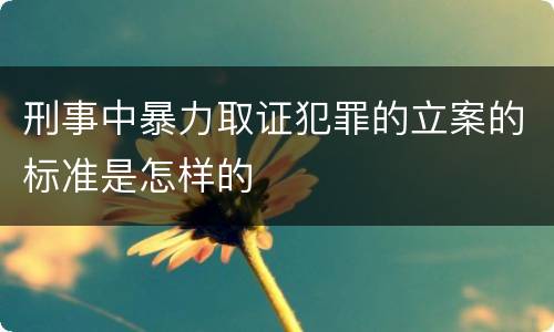 刑事中暴力取证犯罪的立案的标准是怎样的