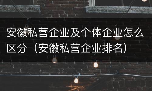 安徽私营企业及个体企业怎么区分（安徽私营企业排名）